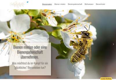 Bienenpaten.eu - Corporate Social Responsibility von Unternehmen stärken Bienenpaten.eu - Corporate Social Responsibility von Unternehmen stärken